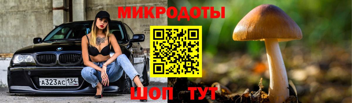 Галлюциногенные грибы Psilocybine cubensis  Вход с VPN  Галлюциногенные грибы прущие грибы  Нефтеюганск 
